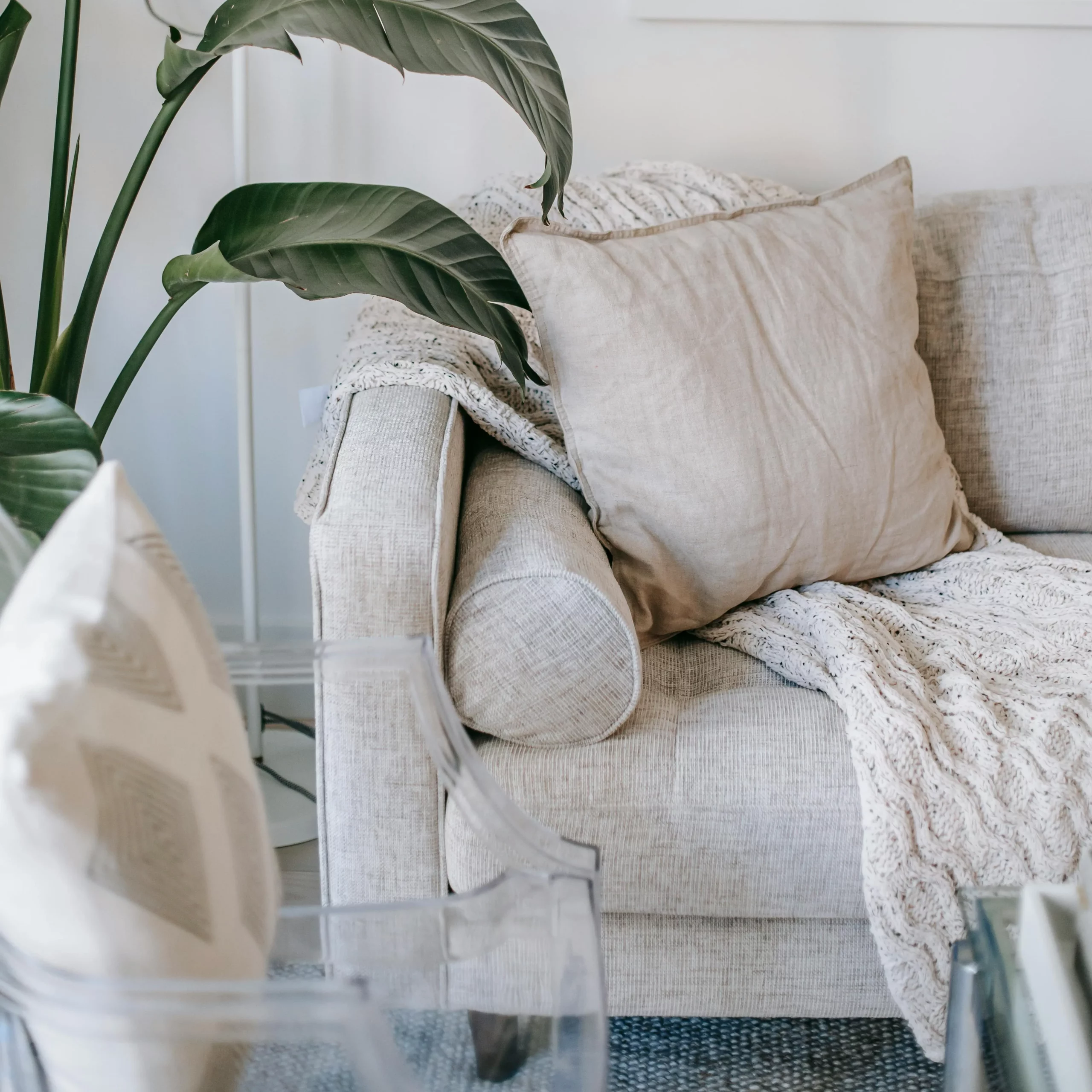 Raven Carpet Professional Tile Deep Clean